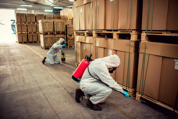 Professional Pest Control in Oliver Springs, TN