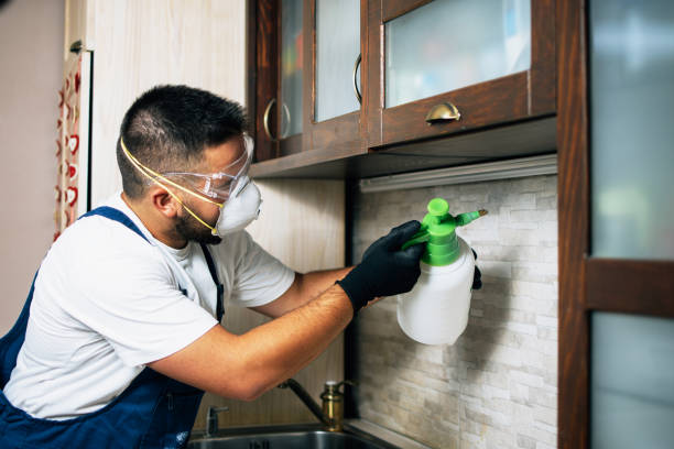 Best Best Pest Control Companies  in Oliver Springs, TN