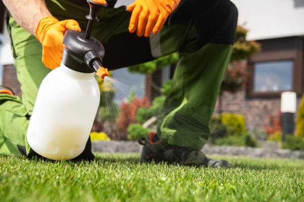 Best Wasp Removal Services  in Oliver Springs, TN