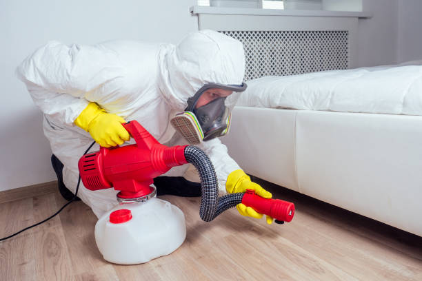 Best Emergency Pest Control  in Oliver Springs, TN