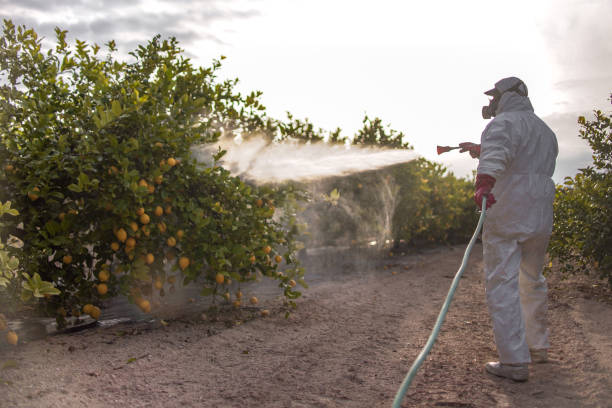 Best Pest Removal Services  in Oliver Springs, TN