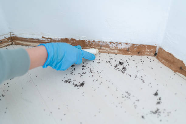 Best Wildlife Control Services  in Oliver Springs, TN